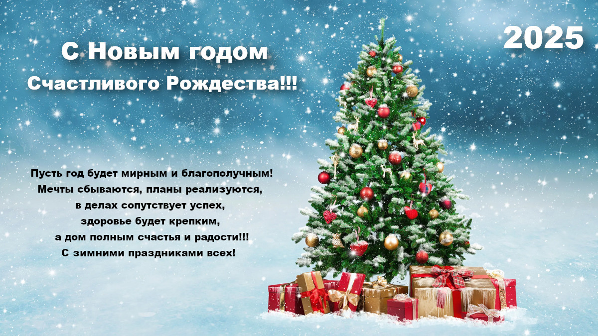 С Новым 2025 годом и Рождеством Христовым!!!